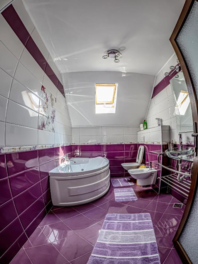 Casa Iulia Villa Pojorîta Esterno foto