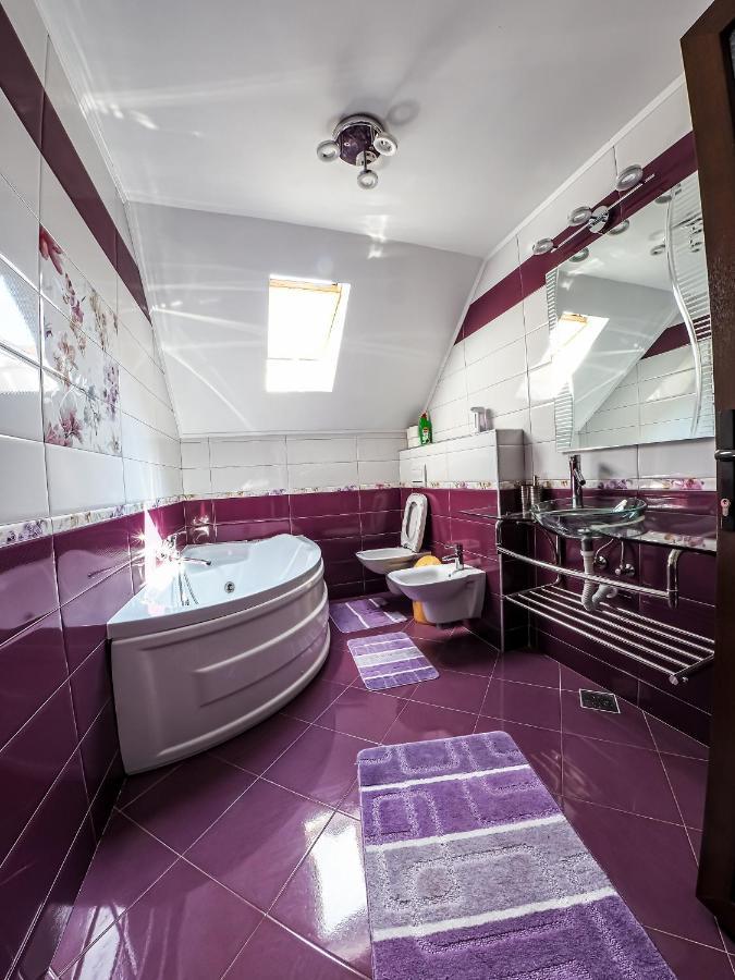 Casa Iulia Villa Pojorîta Esterno foto